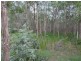 99 Fig Tree Terrace, Meadowvale QLD 4670