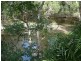 99 Fig Tree Terrace, Meadowvale QLD 4670