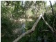 99 Fig Tree Terrace, Meadowvale QLD 4670