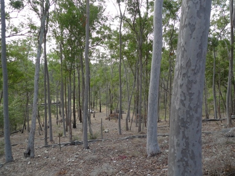 South Bingera QLD 4670