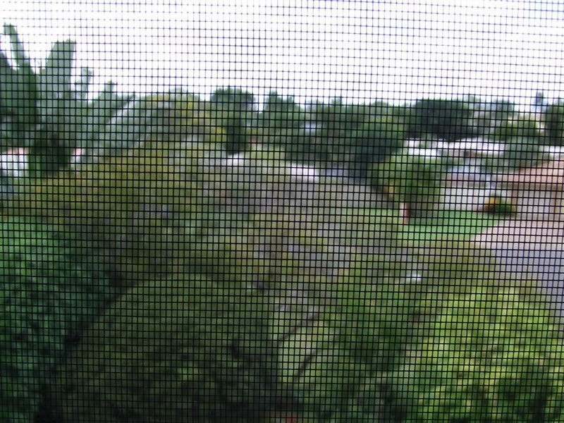 16 Rural Vue Terrace, Avoca QLD 4670