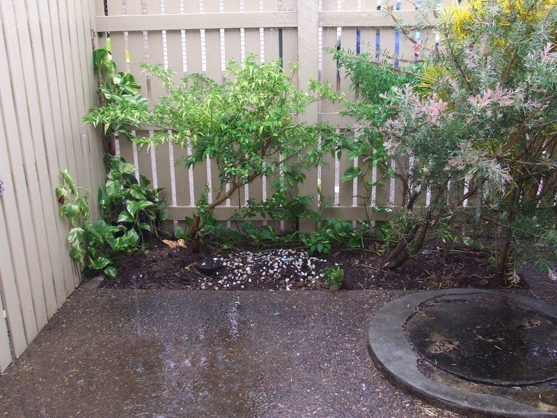 3/29 Branyan Street, Bundaberg West QLD 4670