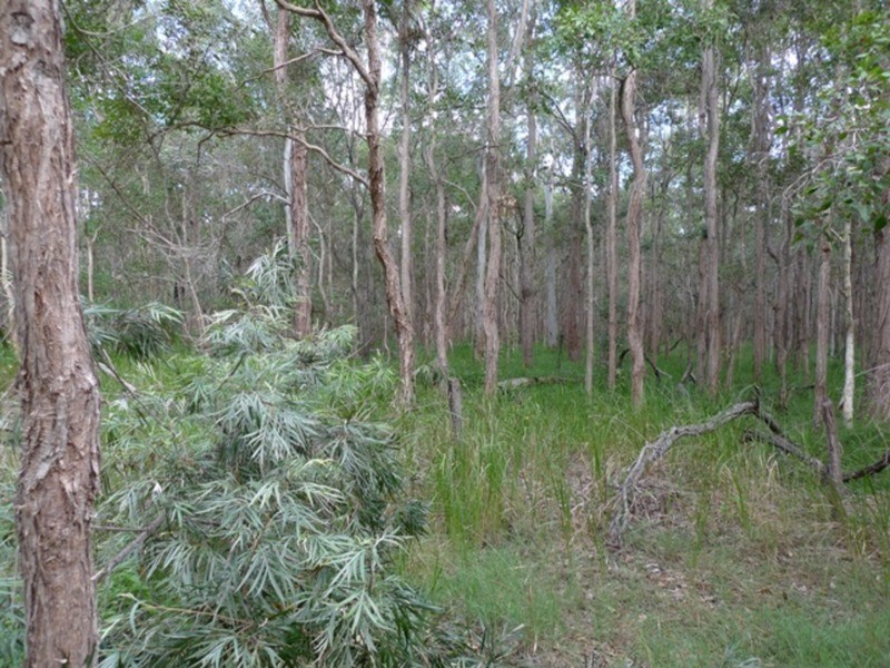 97 Fig Tree Terrace, Meadowvale QLD 4670