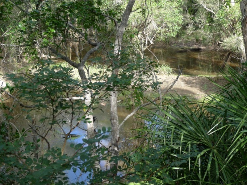 97 Fig Tree Terrace, Meadowvale QLD 4670