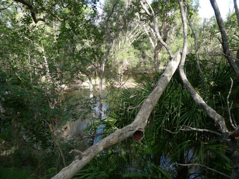 97 Fig Tree Terrace, Meadowvale QLD 4670