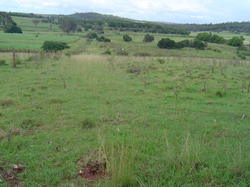 0 Harney Street, Childers QLD 4660