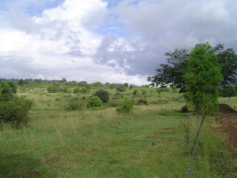 0 Harney Street, Childers QLD 4660