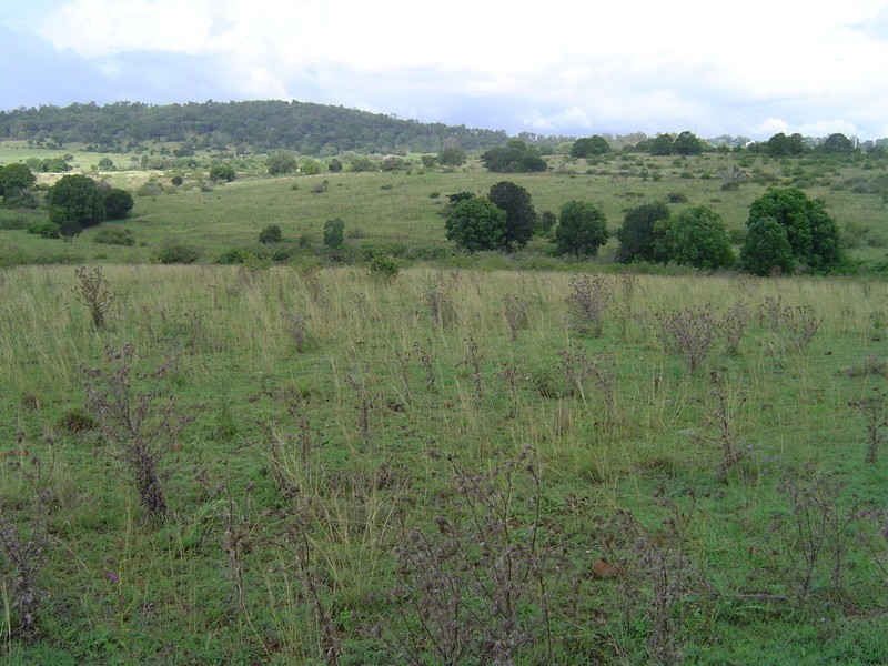 0 Harney Street, Childers QLD 4660