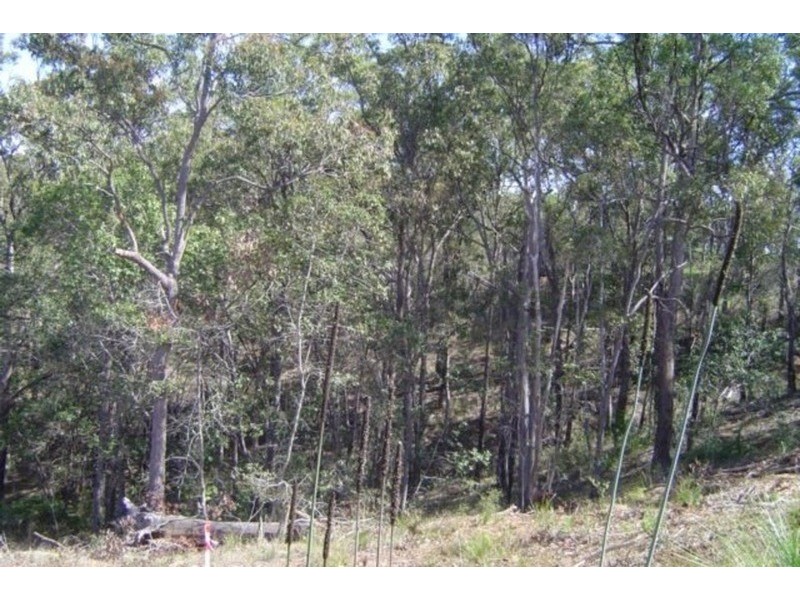 Lot 21-24 Old Creek Road, Apple Tree Creek QLD 4660