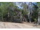 Lot 21-24 Old Creek Road, Apple Tree Creek QLD 4660