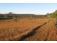 236 Butchers Road, Childers QLD 4660