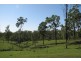 385 Ringwood Road, Booyal QLD 4671