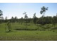 385 Ringwood Road, Booyal QLD 4671