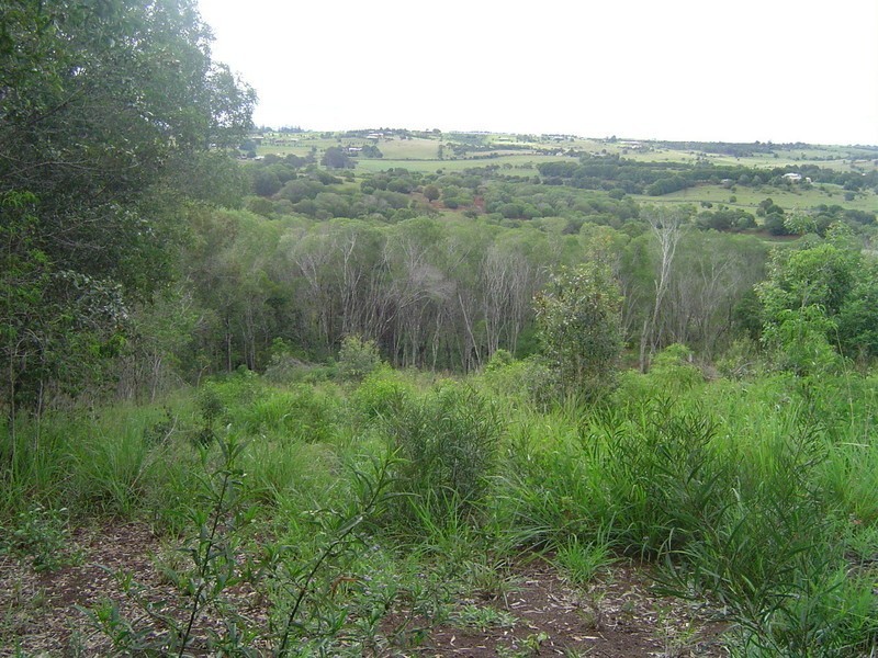 Lot 17 Rankin Road, Childers QLD 4660