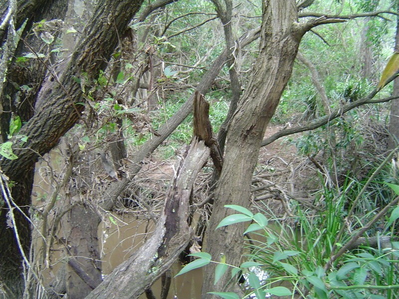 11 Gentle Annie Road, Childers QLD 4660