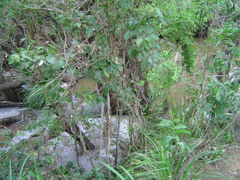 11 Gentle Annie Road, Childers QLD 4660