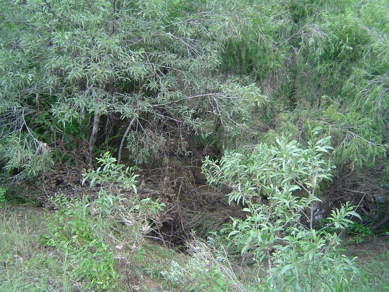 11 Gentle Annie Road, Childers QLD 4660