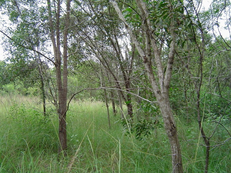 Lot 5 & 106 Whites Road, Horton QLD 4660