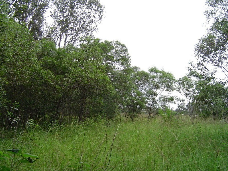 Lot 5 & 106 Whites Road, Horton QLD 4660