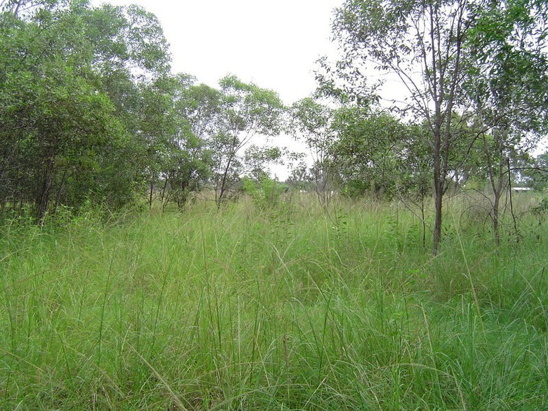 Lot 5 & 106 Whites Road Road, Horton QLD 4660