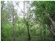 Lot 5 & 106 Whites Road Road, Horton QLD 4660