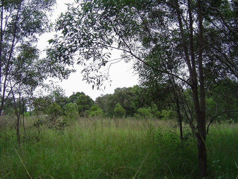 Lot 5 & 106 Whites Road Road, Horton QLD 4660