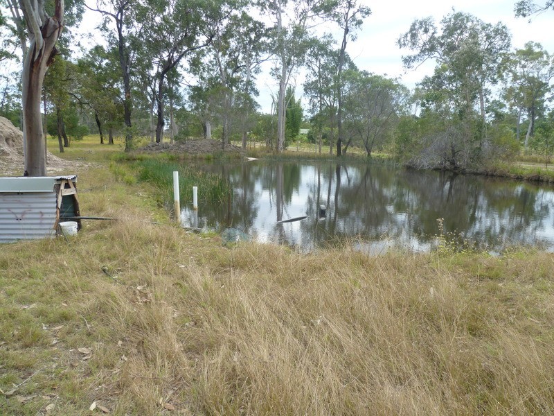 1380 Buxton Road, Buxton QLD 4660