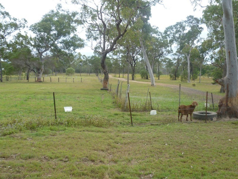 1380 Buxton Road, Buxton QLD 4660