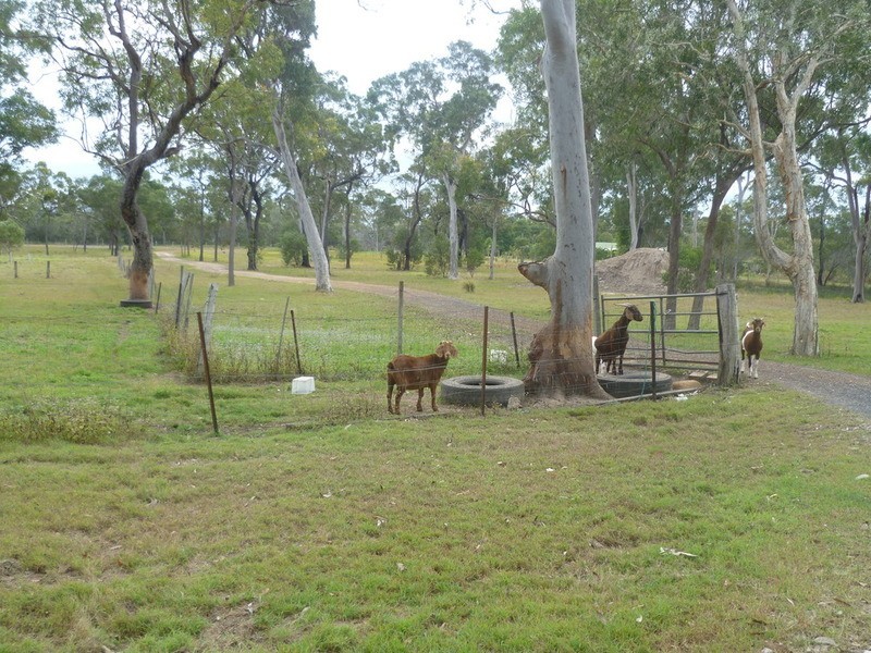 1380 Buxton Road, Buxton QLD 4660