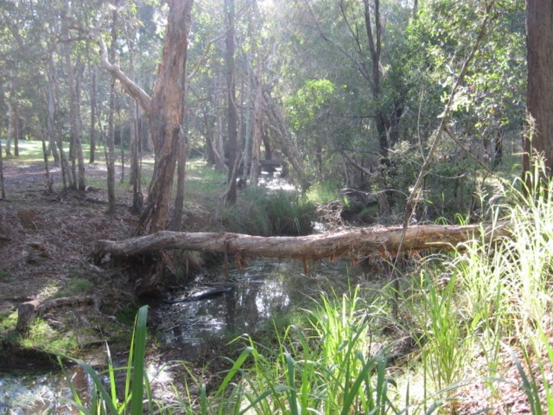 256 Goodwood Road, Childers QLD 4660