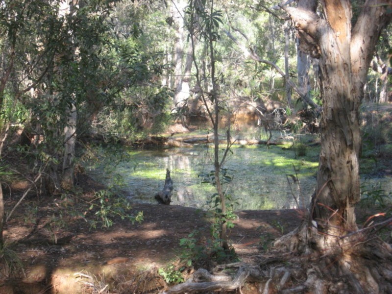 256 Goodwood Road, Childers QLD 4660