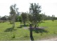 1686 Buxton Road, Buxton QLD 4660