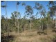 Lot 33 Nielsons Road, Good Night QLD 4671