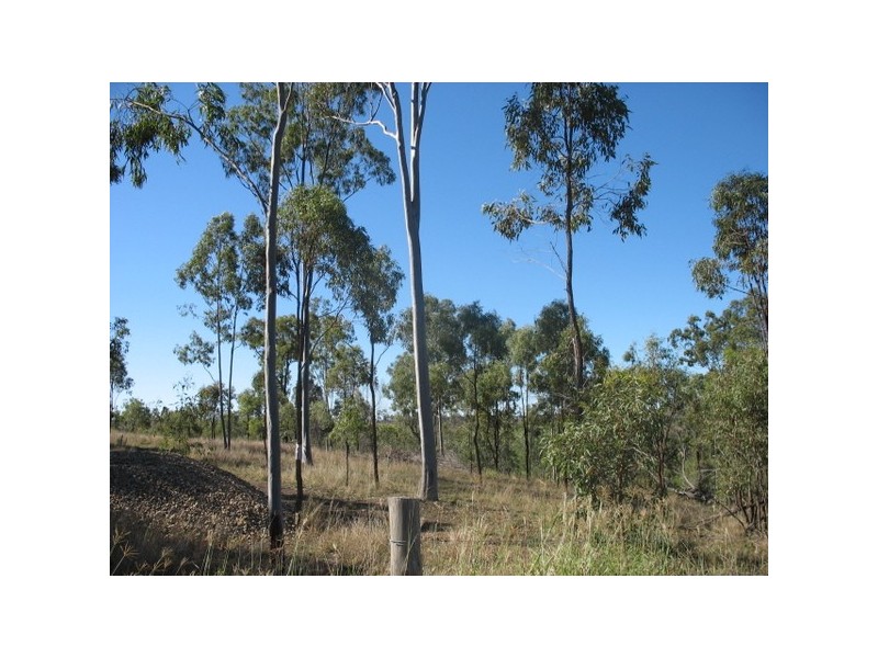 Lot 33 Nielsons Road, Good Night QLD 4671