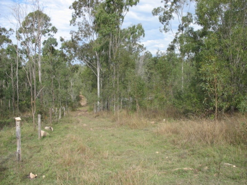Good Night QLD 4671