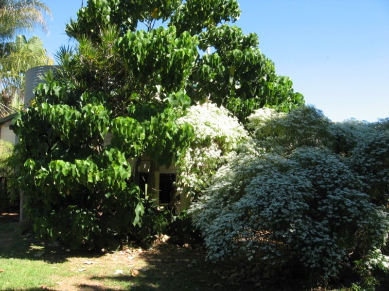 9 Ernest Street, Childers QLD 4660