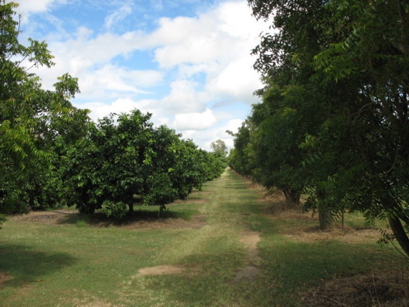 154 Foleys Street, Gregory River QLD 4660