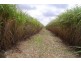 Childers QLD 4660
