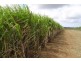 Childers QLD 4660