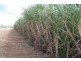 Childers QLD 4660