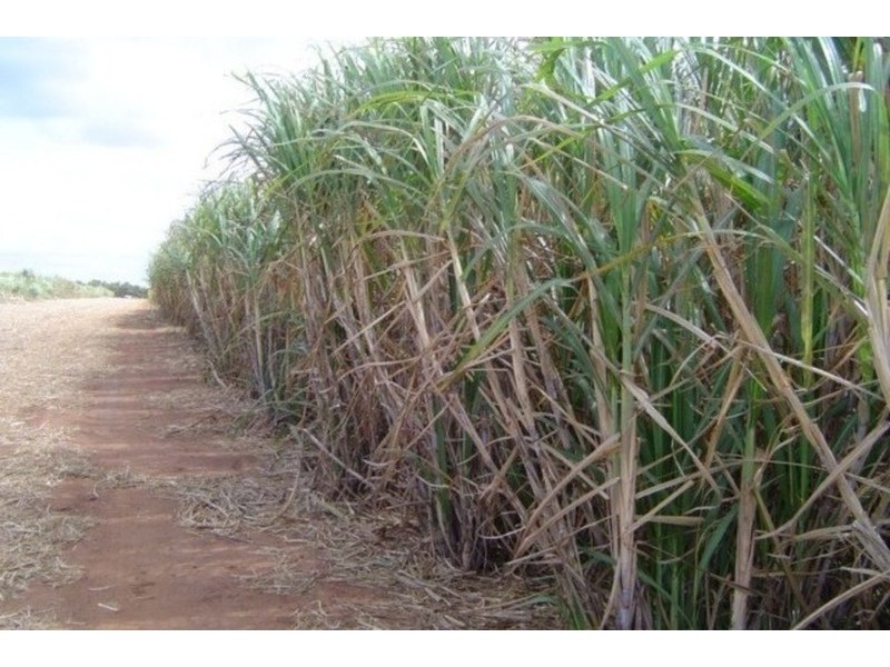 Childers QLD 4660