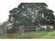 Childers QLD 4660