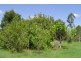 385 Sims Road, Redridge QLD 4660