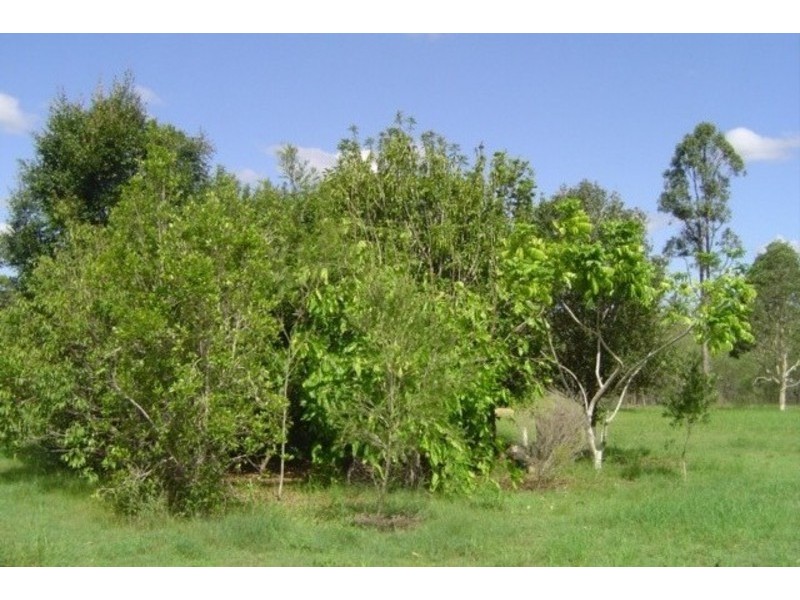 385 Sims Road, Redridge QLD 4660