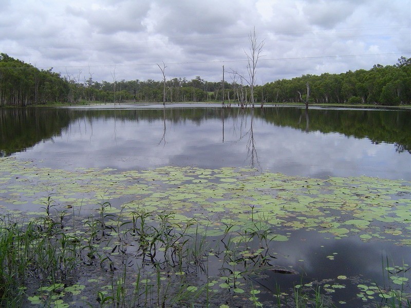 Lot 21 Jacksons Road, Childers QLD 4660