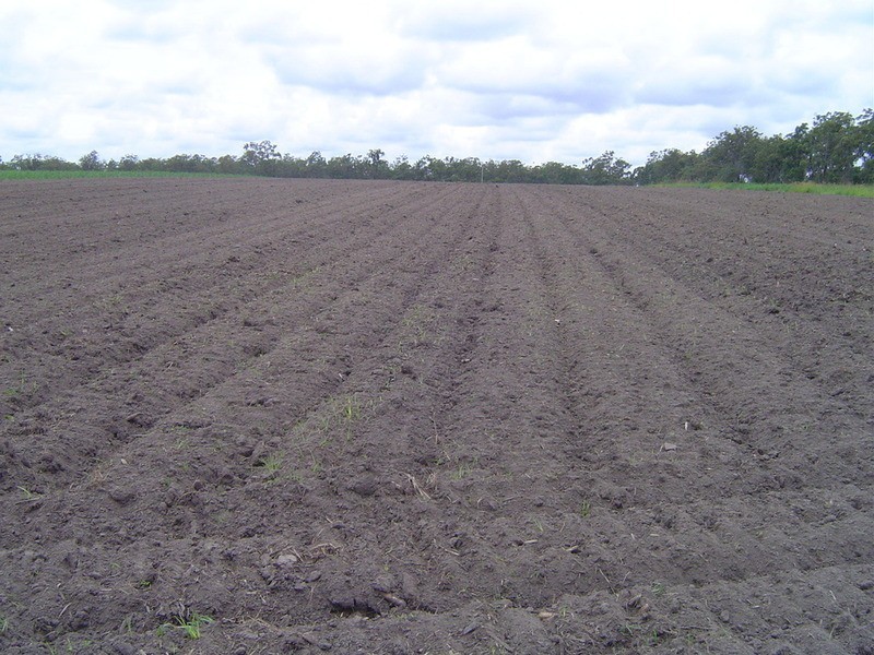 Lot 21 Jacksons Road, Childers QLD 4660
