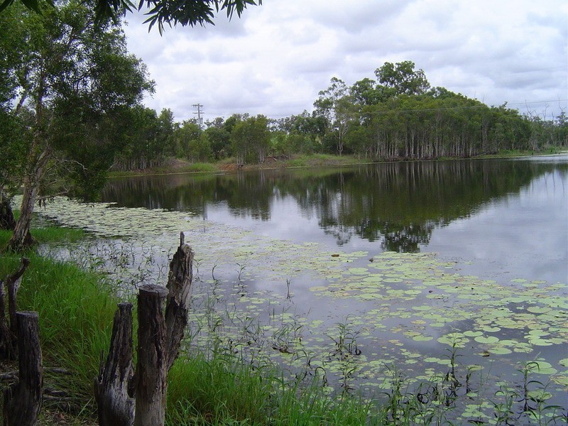 Lot 21 Jacksons Road, Childers QLD 4660