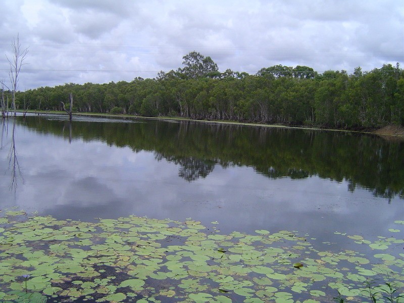 Lot 21 Jacksons Road, Childers QLD 4660