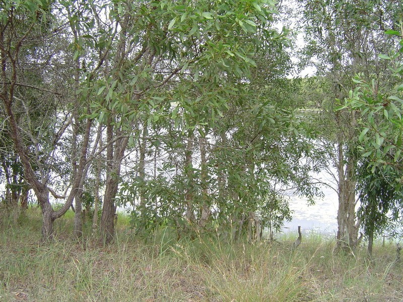 Lot 21 Jacksons Road, Childers QLD 4660