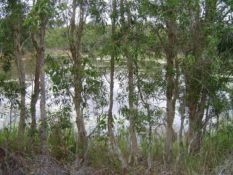 Lot 21 Jacksons Road, Childers QLD 4660